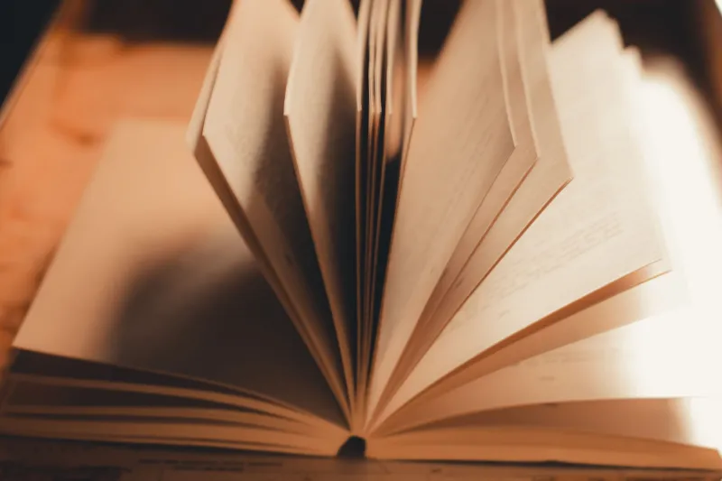 The Character at the Edge of the Frame: On Our Inexplicable Devotion to Fiction's Minor Figures