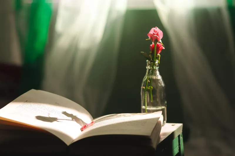 The Book You Loved Never Existed: On Reading, Memory, and the Self We Project onto the Page